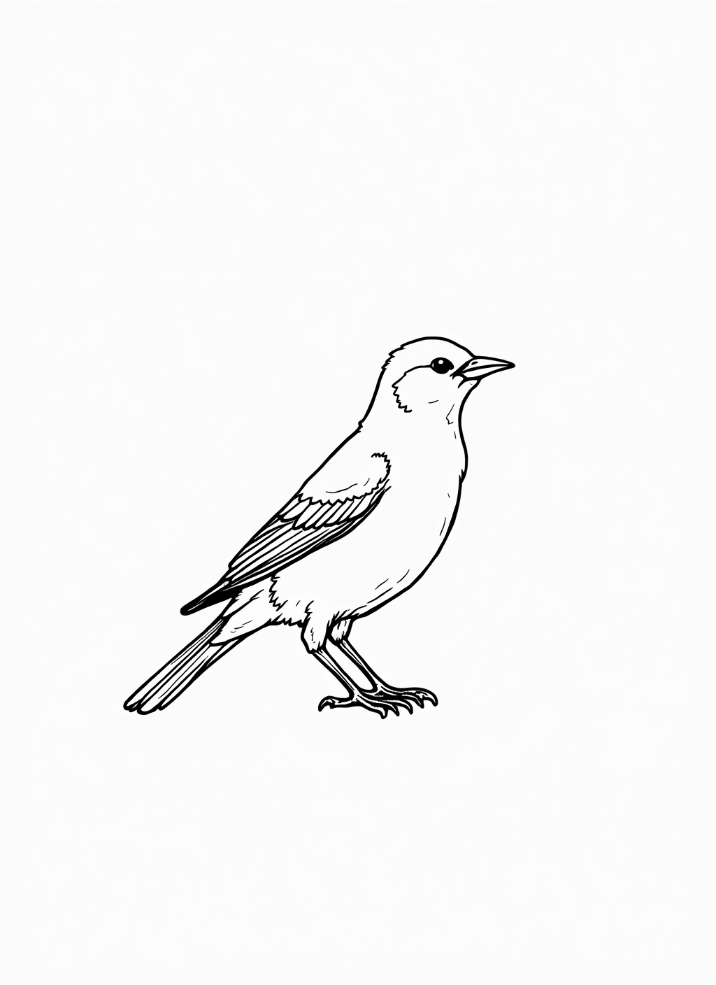 Canary Coloring Page