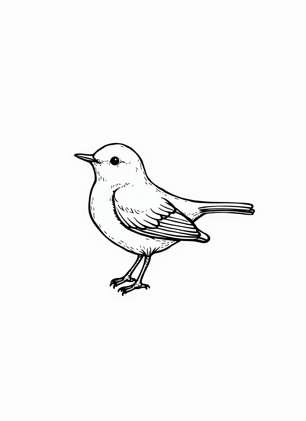 Robin Coloring Page